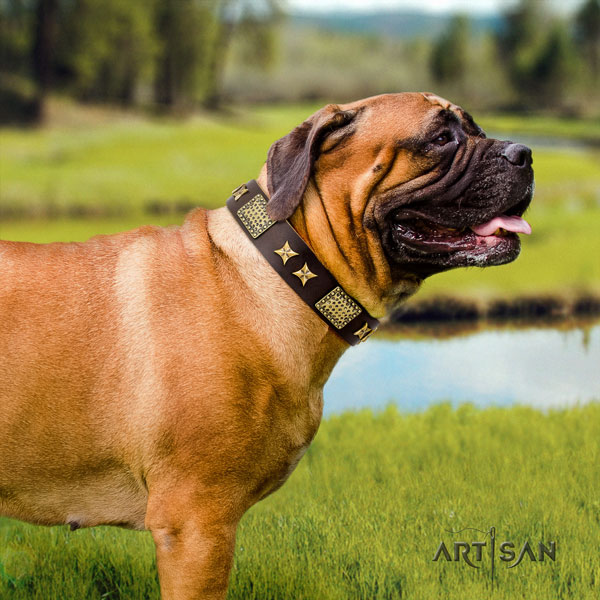 Bullmastiff decorated genuine leather dog collar for your stylish canine
