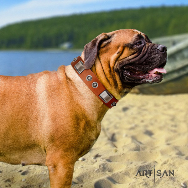Bullmastiff full grain natural leather dog collar with adornments for your handsome four-legged friend