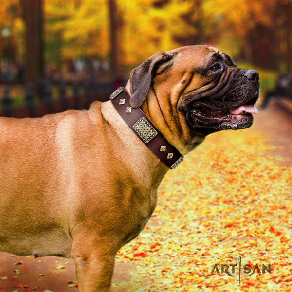 Bullmastiff decorated leather dog collar for your handsome dog