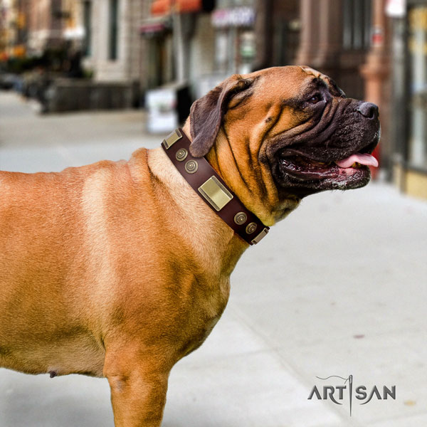 Bullmastiff decorated full grain natural leather dog collar for your attractive pet