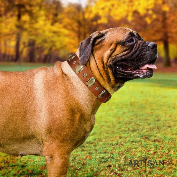 Bullmastiff easy wearing leather collar with decorations for your canine