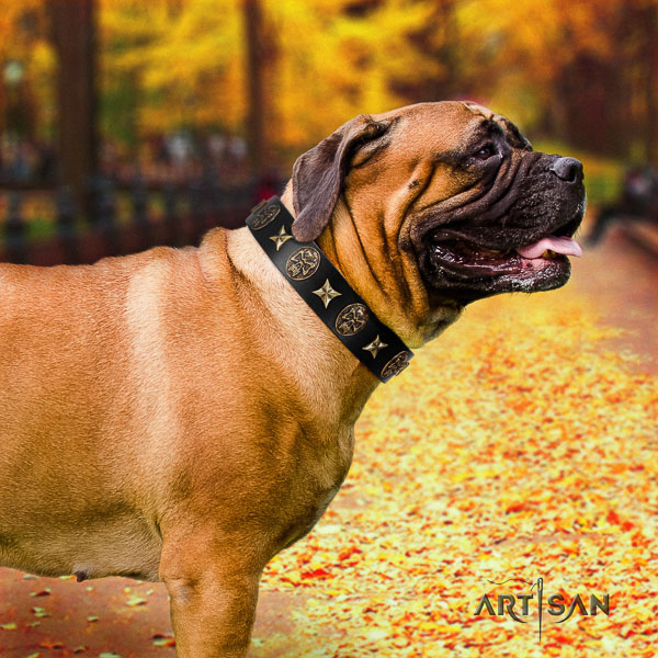 Bullmastiff walking full grain natural leather collar with adornments for your pet