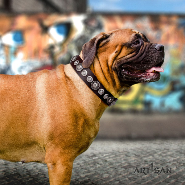 Bullmastiff adorned natural genuine leather dog collar for your impressive canine