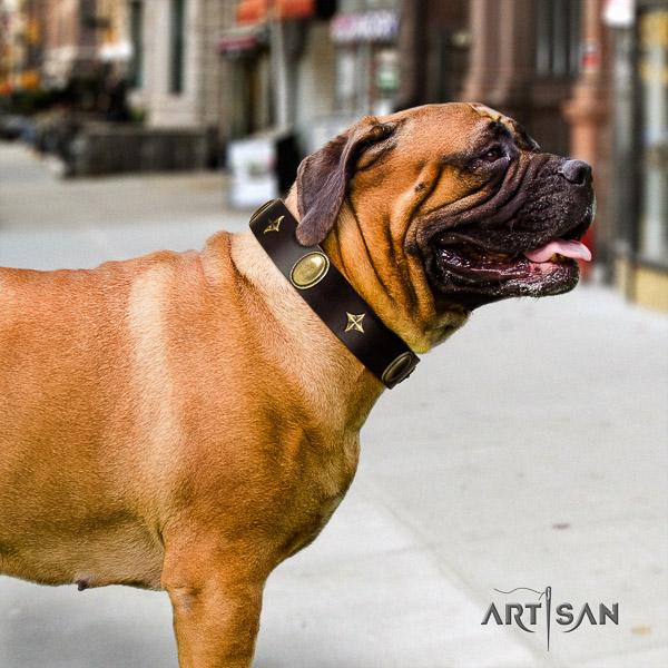 Bullmastiff basic training full grain genuine leather collar with adornments for your dog