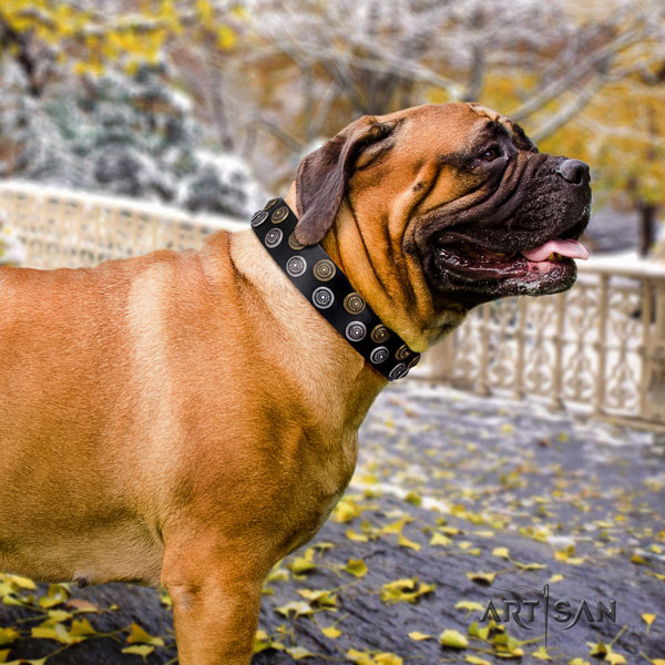 Bullmastiff embellished leather dog collar for your beautiful doggie