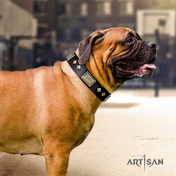 Bullmastiff studded genuine leather dog collar for your beautiful pet