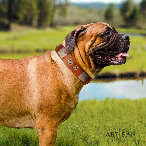Bullmastiff handy use natural leather collar with decorations for your canine