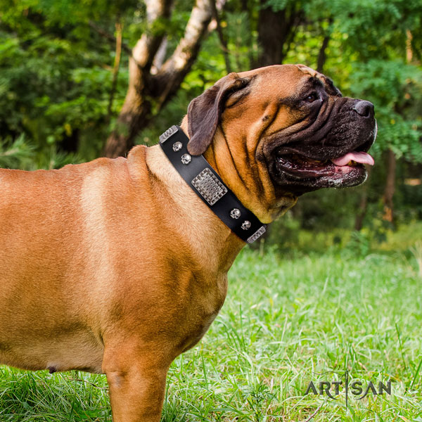 Bullmastiff studded full grain natural leather dog collar for your handsome dog