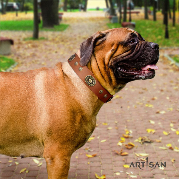 Bullmastiff embellished natural genuine leather dog collar for your lovely four-legged friend