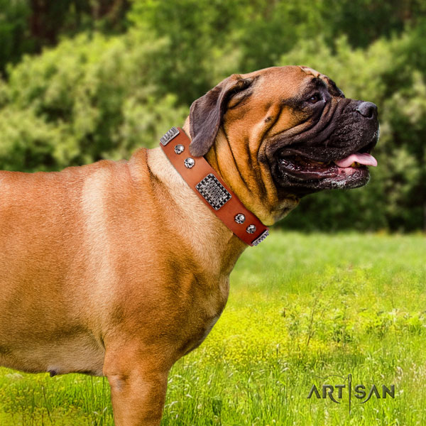 Bullmastiff decorated genuine leather dog collar for your lovely four-legged friend