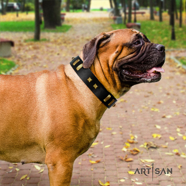Bullmastiff daily walking full grain genuine leather collar with studs for your four-legged friend