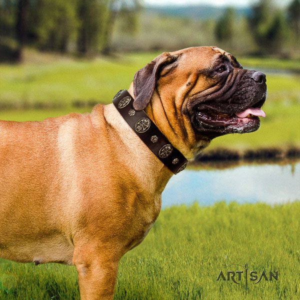 Bullmastiff daily walking genuine leather collar with decorations for your four-legged friend