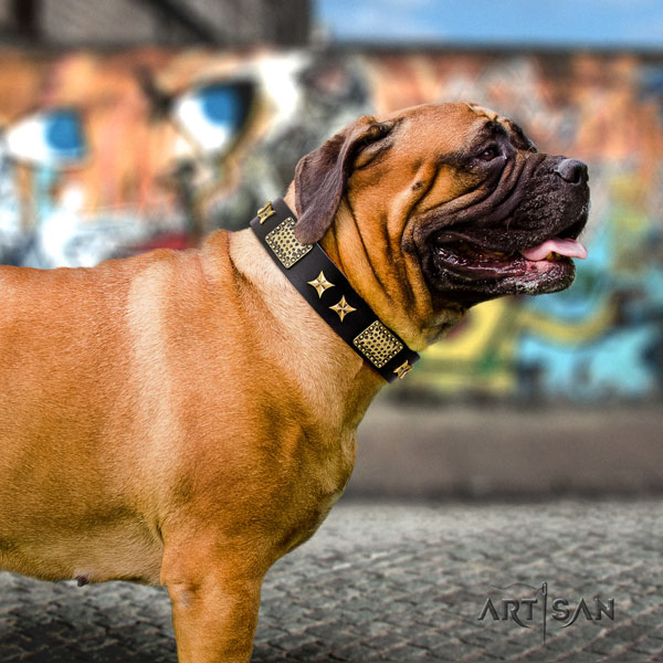 Bullmastiff adorned genuine leather dog collar for your stylish doggie
