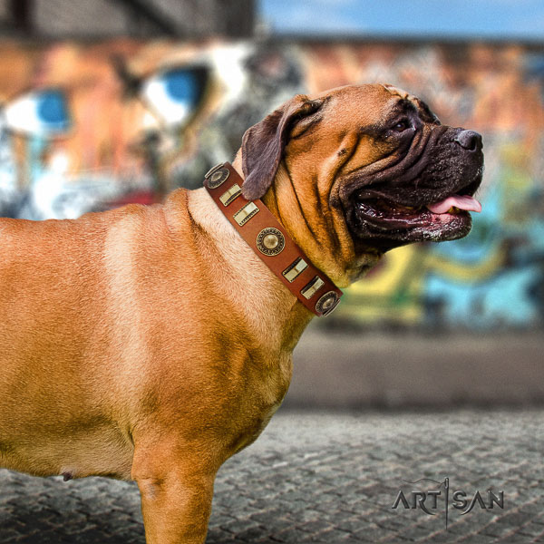 Bullmastiff comfy wearing full grain natural leather collar with adornments for your pet