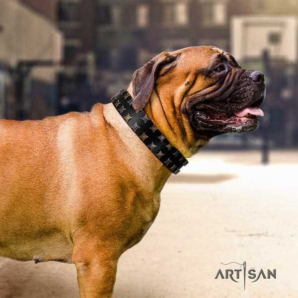 Bullmastiff basic training full grain natural leather collar with decorations for your dog