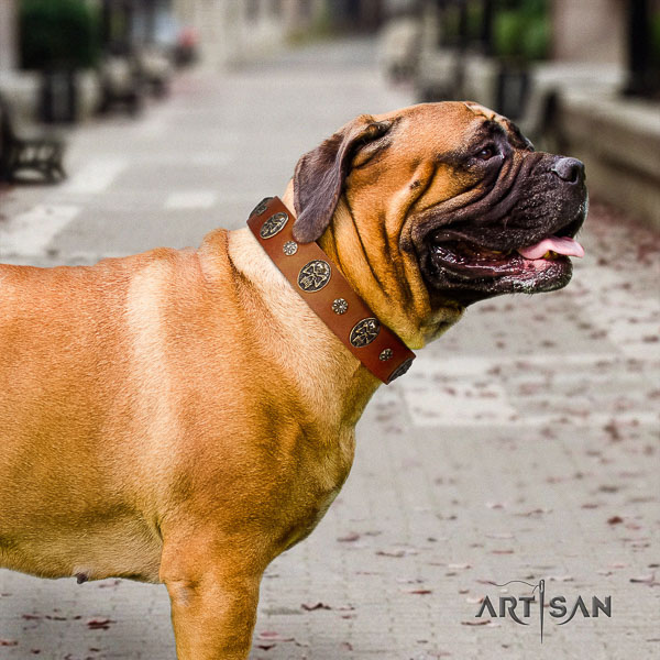 Bullmastiff walking full grain genuine leather collar with decorations for your doggie