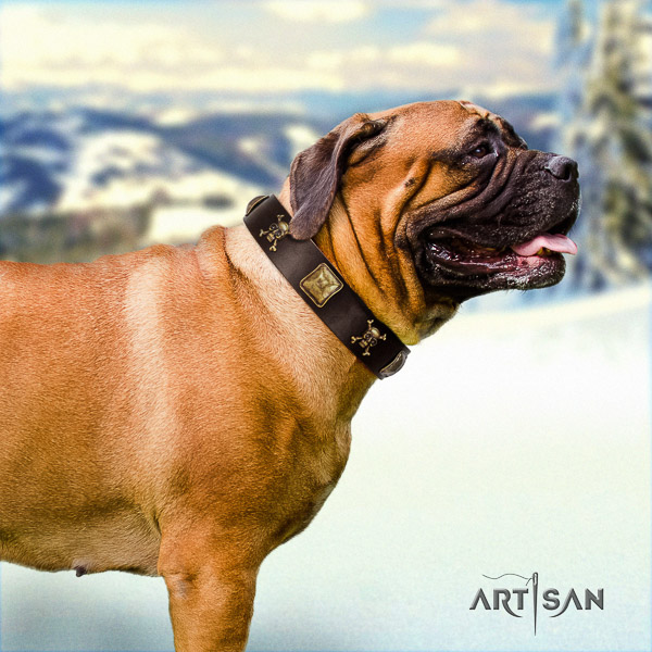 Bullmastiff comfortable wearing natural leather collar with decorations for your dog