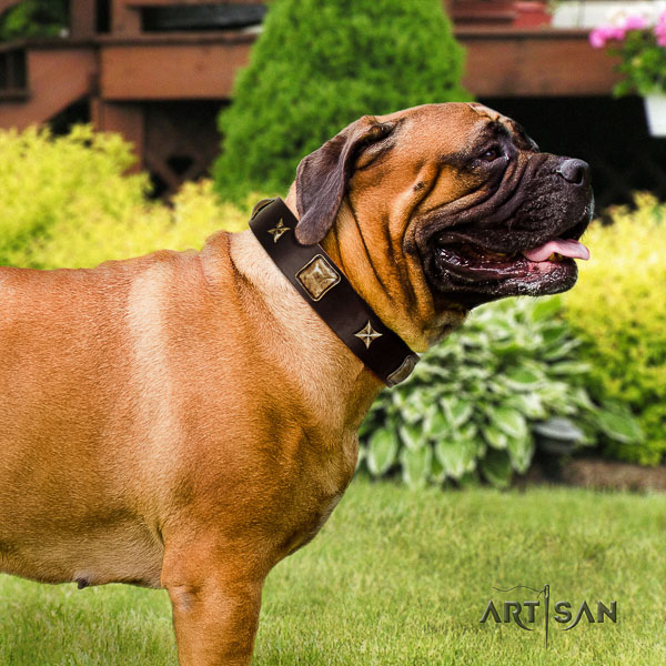Bullmastiff everyday use genuine leather collar with decorations for your four-legged friend