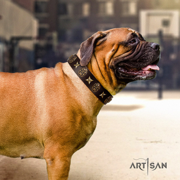 Bullmastiff easy wearing full grain leather collar with decorations for your canine