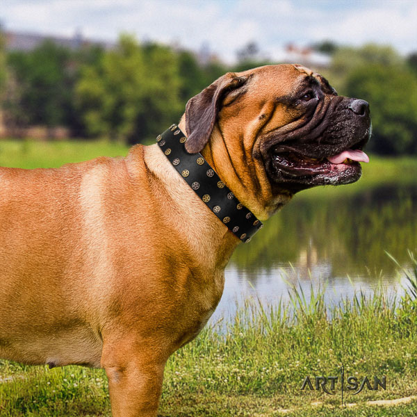 Bullmastiff daily use full grain natural leather collar with decorations for your canine