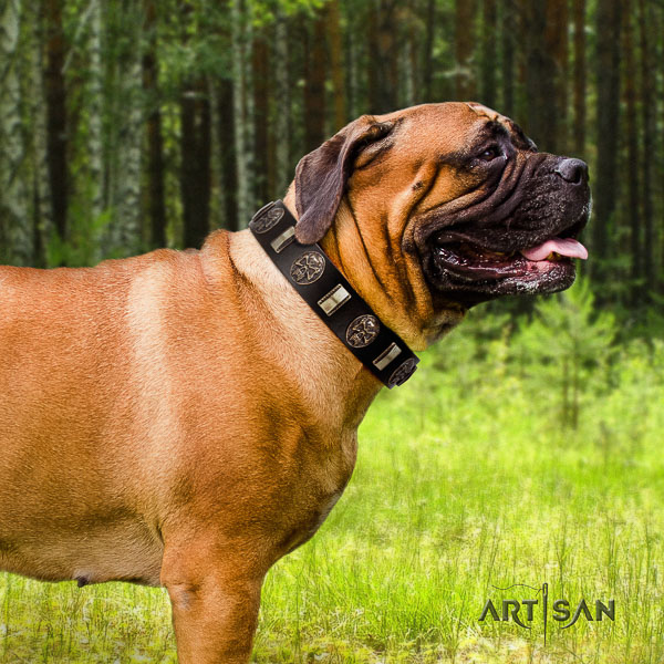 Bullmastiff handy use full grain natural leather collar with decorations for your dog