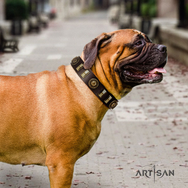 Bullmastiff everyday use natural leather collar with adornments for your dog