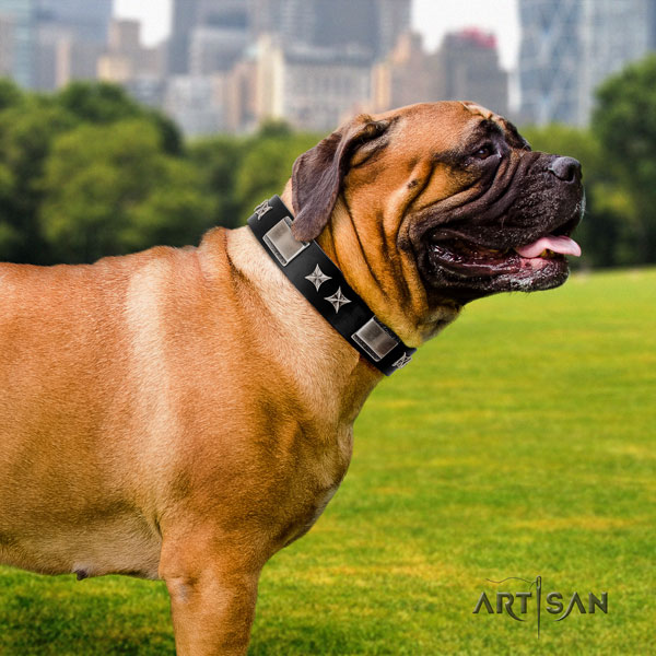 Bullmastiff full grain leather dog collar with decorations for your handsome canine