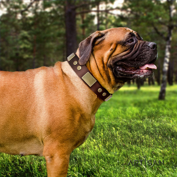 Bullmastiff embellished full grain natural leather dog collar for your impressive doggie