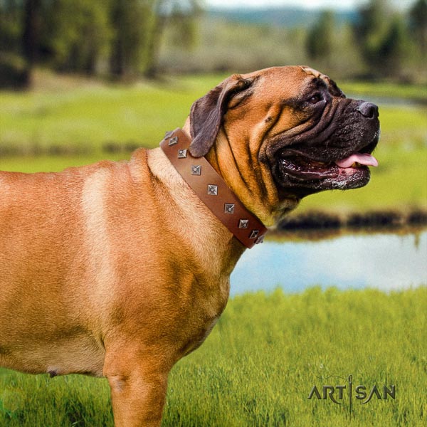 Bullmastiff stunning leather collar with embellishments for your dog