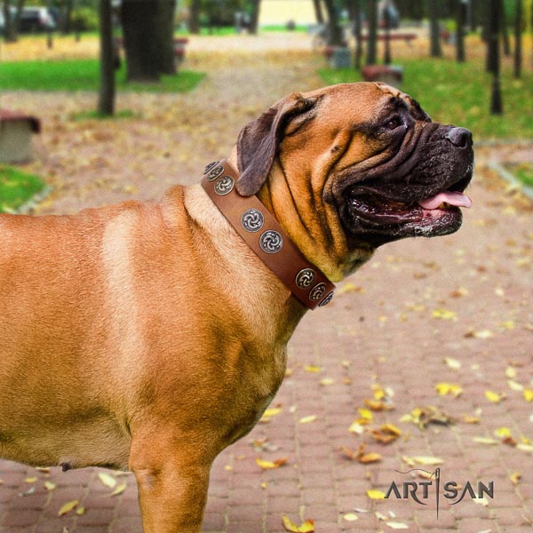 Bullmastiff awesome genuine leather collar with studs for your canine