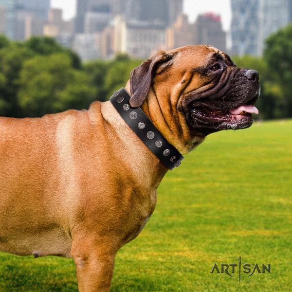 Bullmastiff incredible genuine leather collar with studs for your doggie
