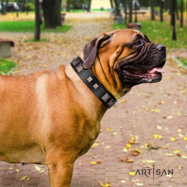 Bullmastiff remarkable natural genuine leather collar with decorations for your four-legged friend