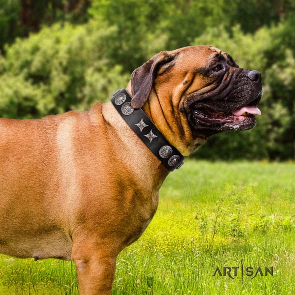 Bullmastiff top notch genuine leather collar with embellishments for your dog