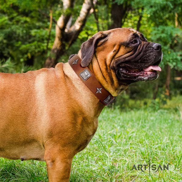 Bullmastiff convenient natural genuine leather collar with studs for your dog