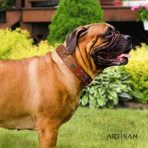 Bullmastiff unusual natural genuine leather collar with embellishments for your four-legged friend