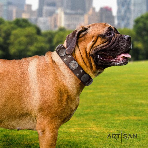 Bullmastiff amazing leather collar with decorations for your pet