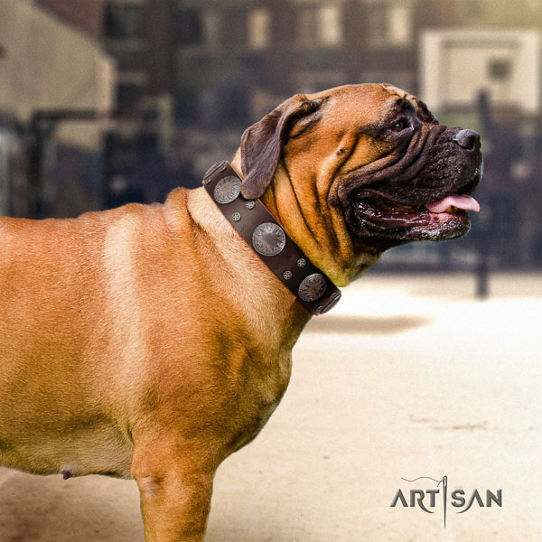 Bullmastiff fashionable leather collar with embellishments for your canine