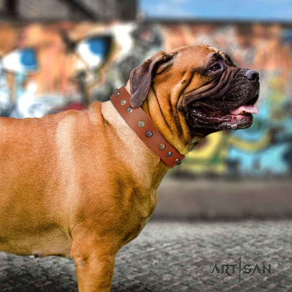 Bullmastiff decorated genuine leather dog collar for your beautiful four-legged friend