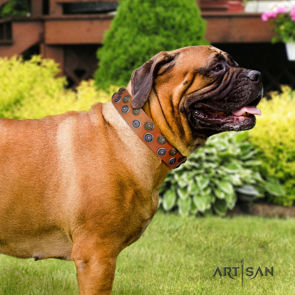 Bullmastiff embellished full grain genuine leather dog collar for your stylish four-legged friend