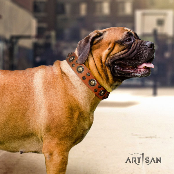 Bullmastiff studded full grain natural leather dog collar for your stylish dog