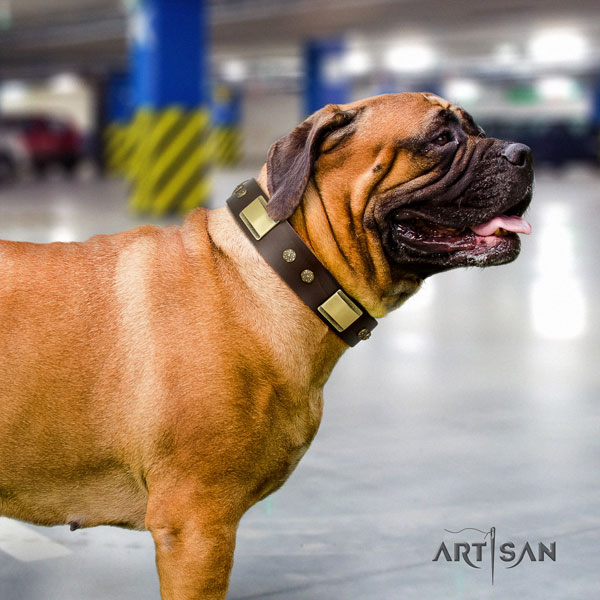 Bullmastiff decorated full grain genuine leather dog collar for your impressive pet