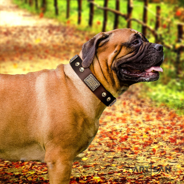 Bullmastiff adorned full grain natural leather dog collar for your handsome dog