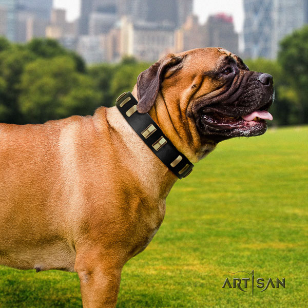 Bullmastiff walking natural leather collar with decorations for your doggie
