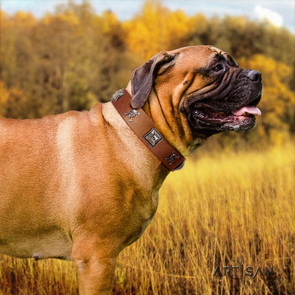 Bullmastiff awesome full grain natural leather collar with decorations for your canine