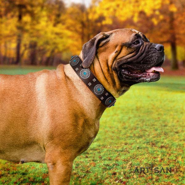 Bullmastiff exceptional full grain leather collar with adornments for your pet