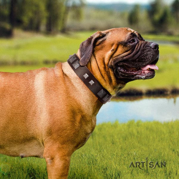 Bullmastiff stylish full grain natural leather collar with decorations for your canine