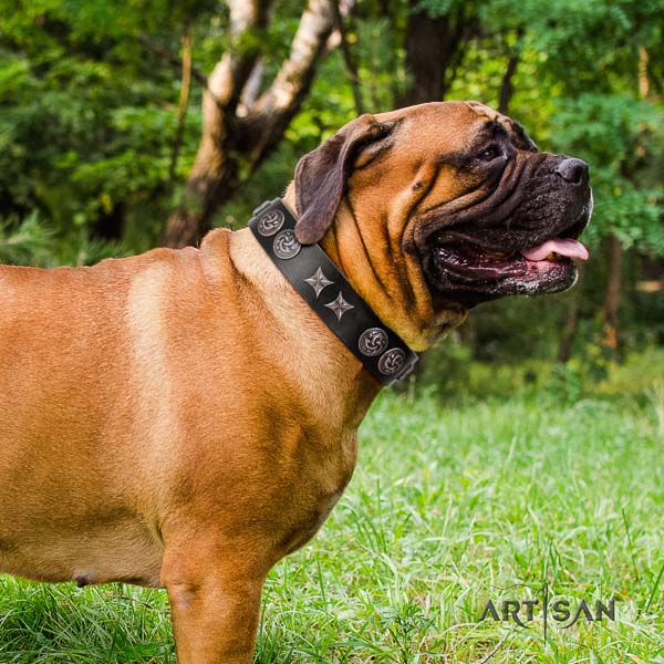 Bullmastiff fine quality genuine leather collar with adornments for your doggie