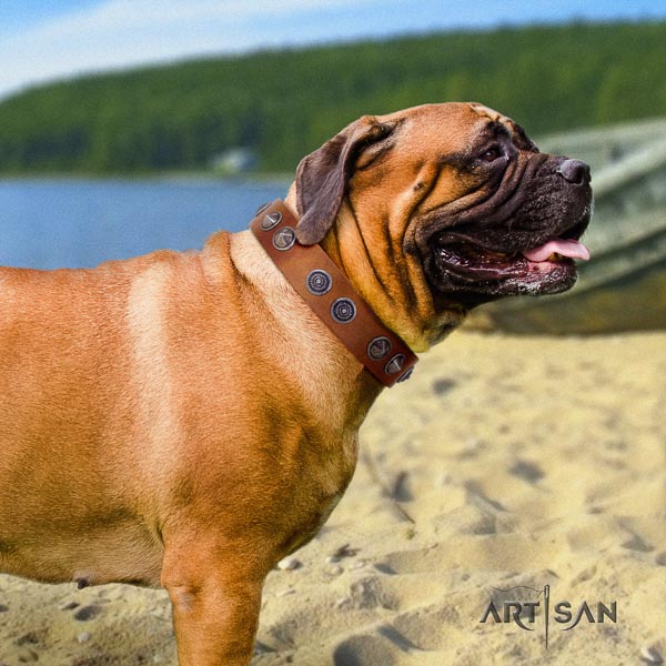 Bullmastiff amazing full grain natural leather collar with decorations for your four-legged friend