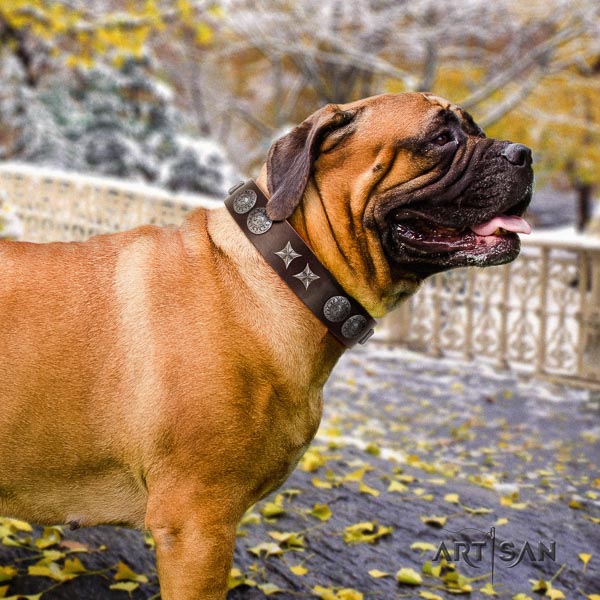 Bullmastiff stunning full grain leather collar with decorations for your canine