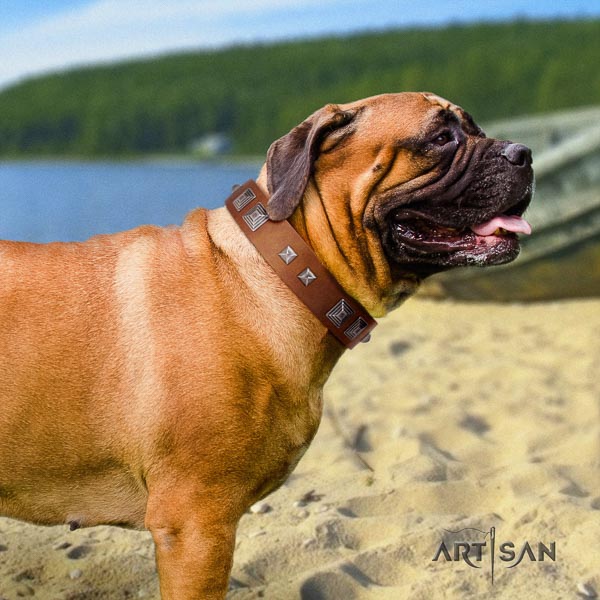 Bullmastiff best quality full grain genuine leather collar with studs for your pet